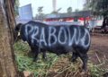 Partai Gerindra Salurkan Ratusan Hewan Kurban ke Masyarakat, Habaib, Ulama, Masjid, dan Mushola